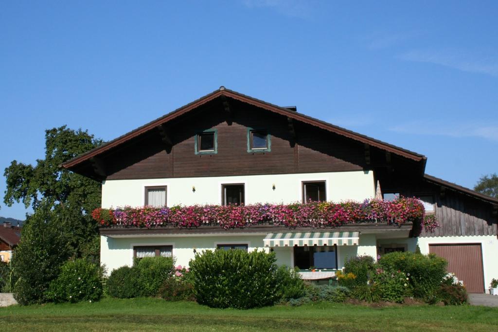 Ferienwohnungen Grabnerbauer Mondsee Δωμάτιο φωτογραφία